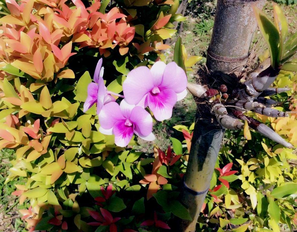 Lanta Wanida Resort Ko Lanta Zewnętrze zdjęcie